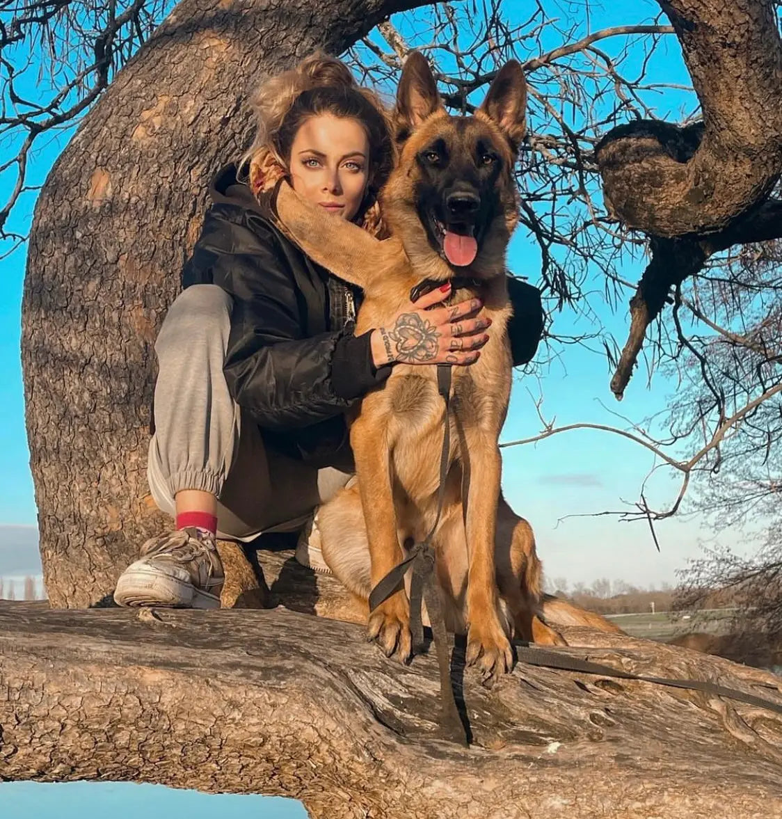 5 erreurs à éviter sur le rappel de son chien
