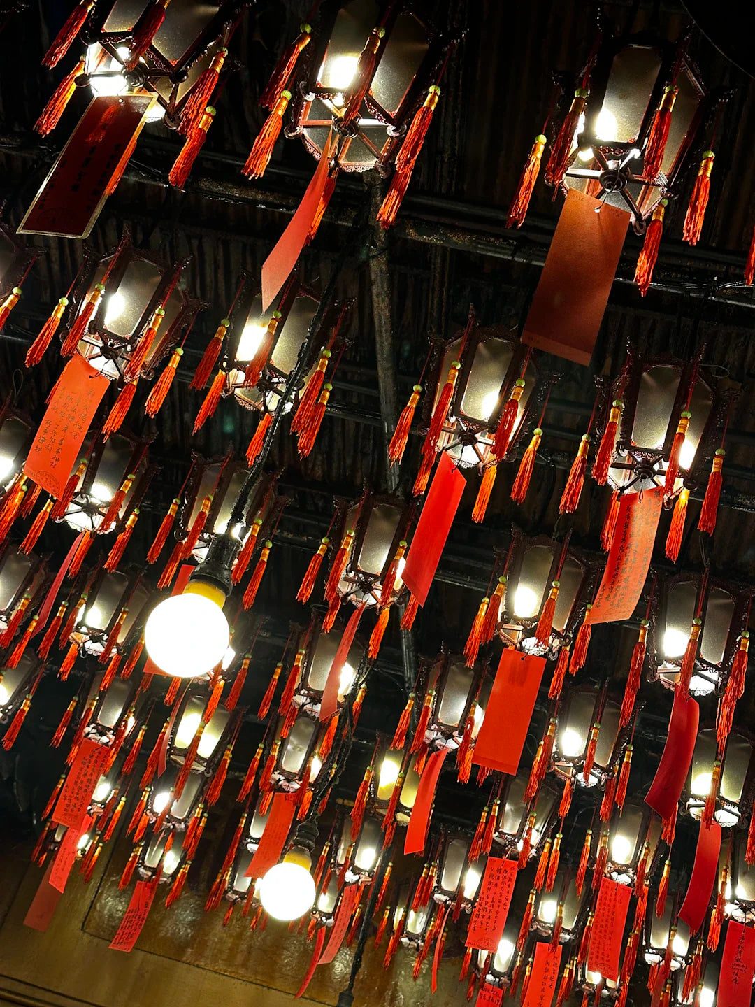 Colliers Badnesis élégance lumineuse pour votre chien