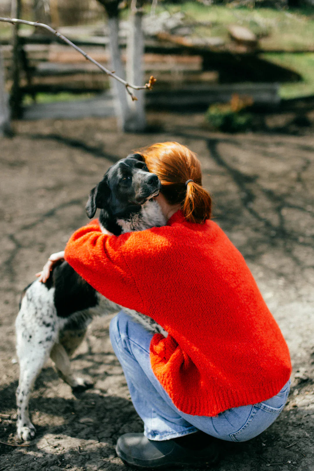 Crewnecks ultra confortables pour les amoureux des chiens