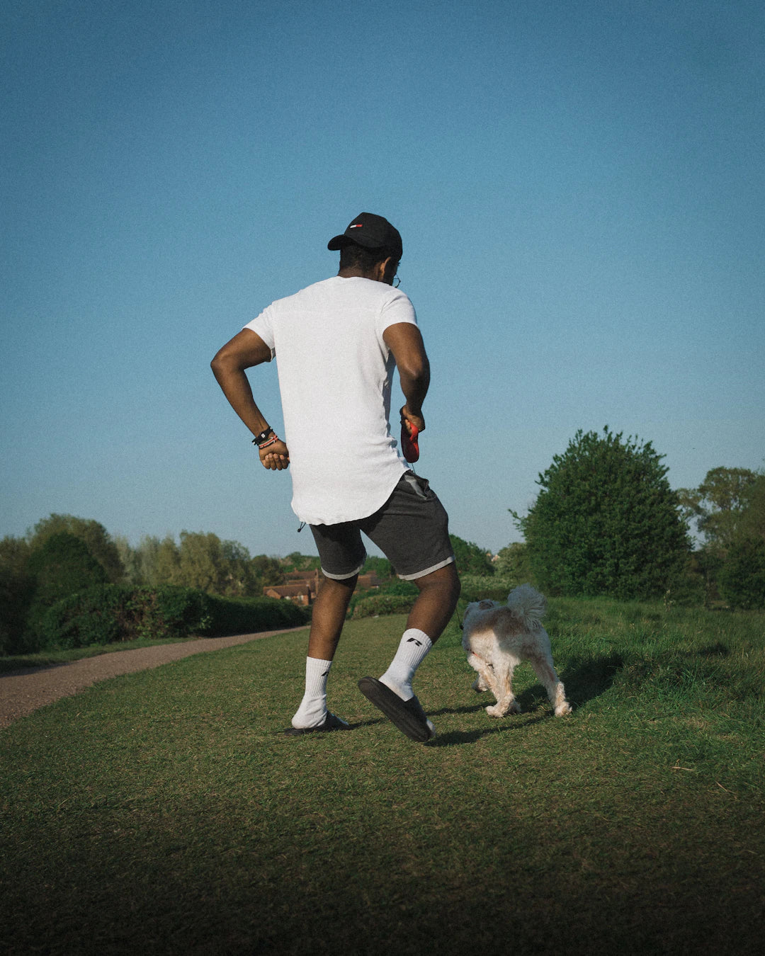 Jogging et shorts stylés pour les amoureux des chiens