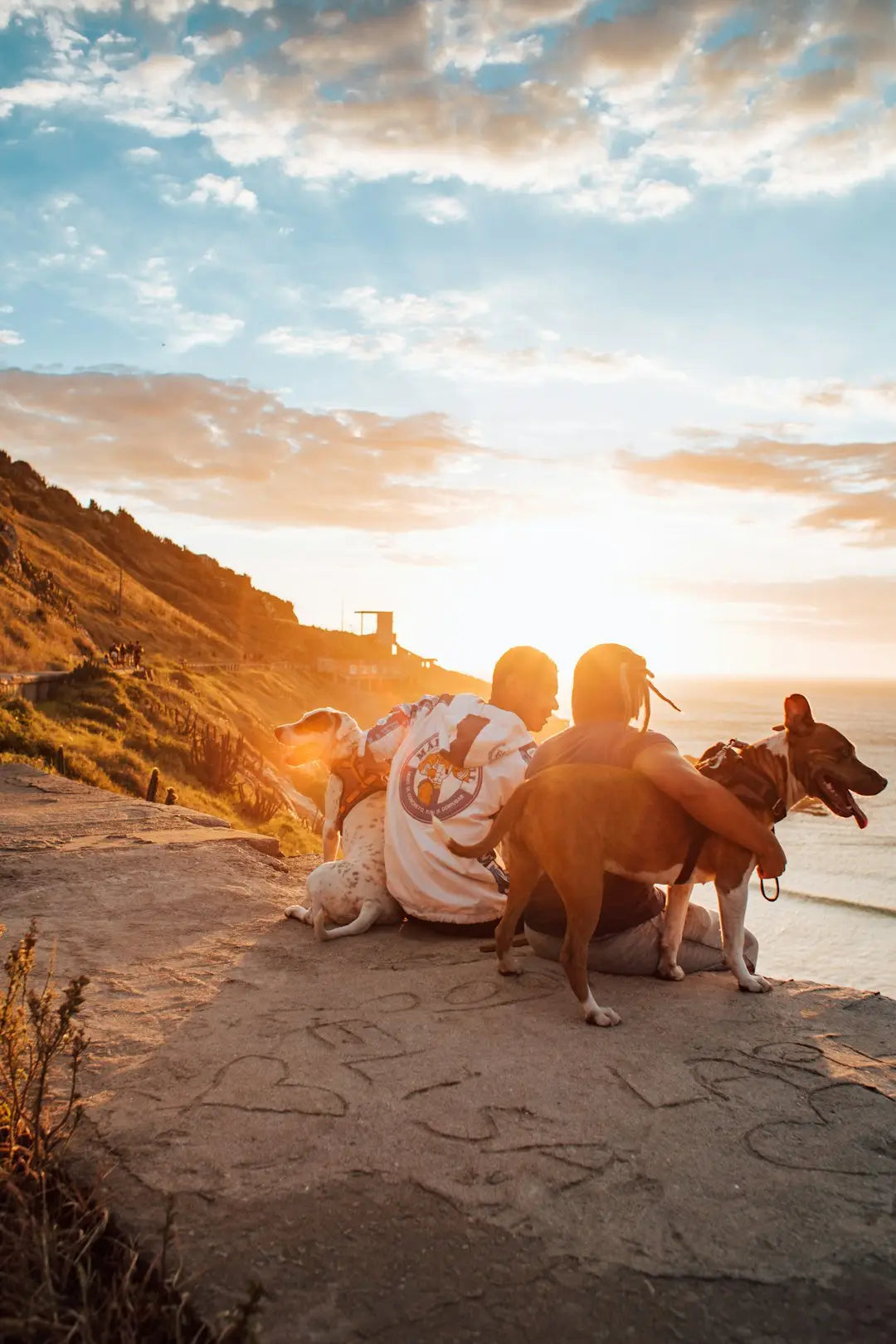 Les Meilleures Destinations Pour Voyager Avec Son Chien