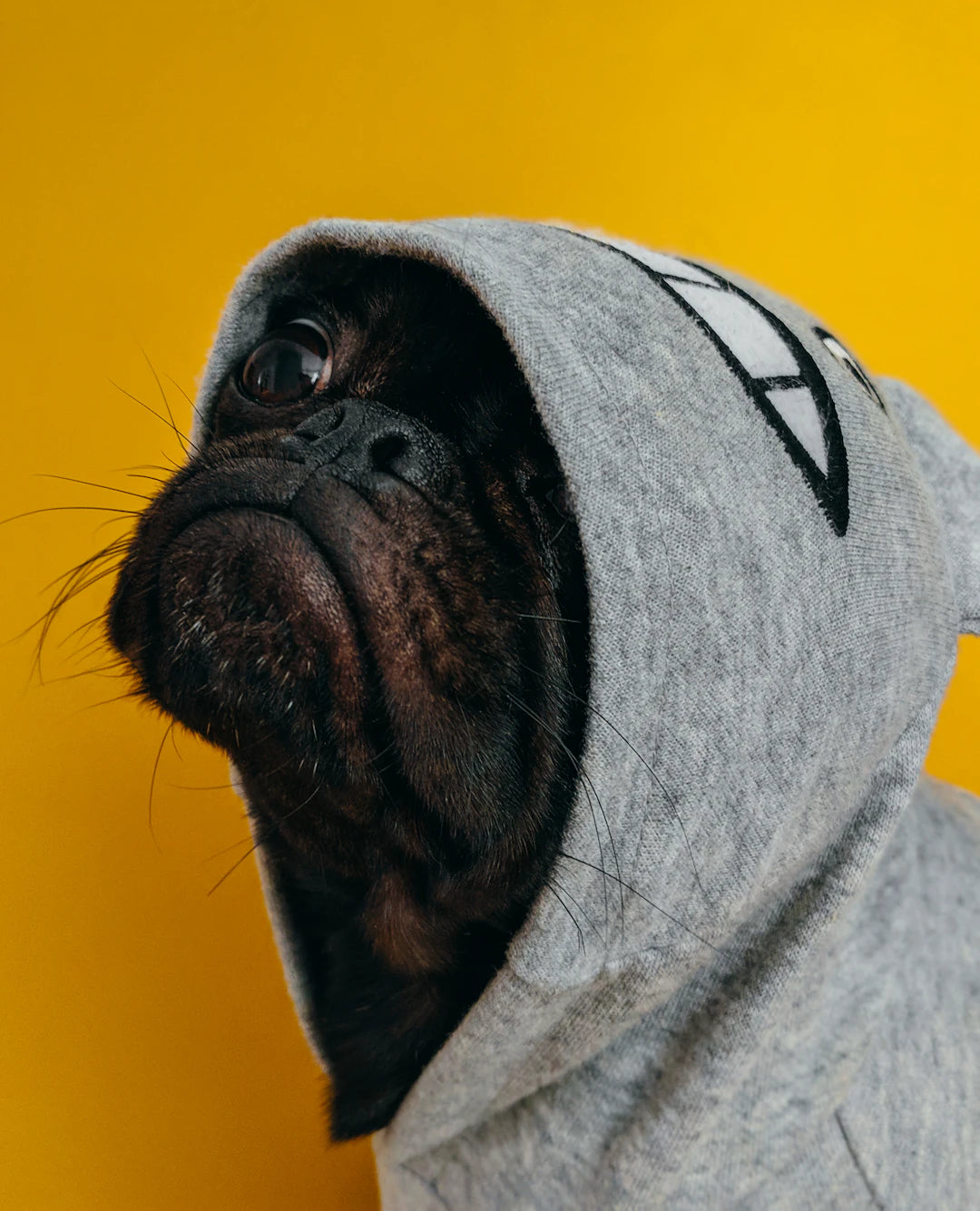 Adoptez un style ludique avec des sweats pour mamans de chiens