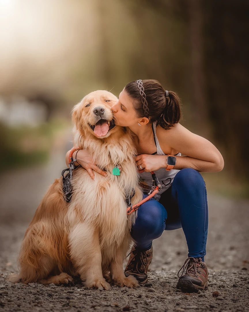 Les 5 Commandements Essentiels pour un Chien Bien Éduqué