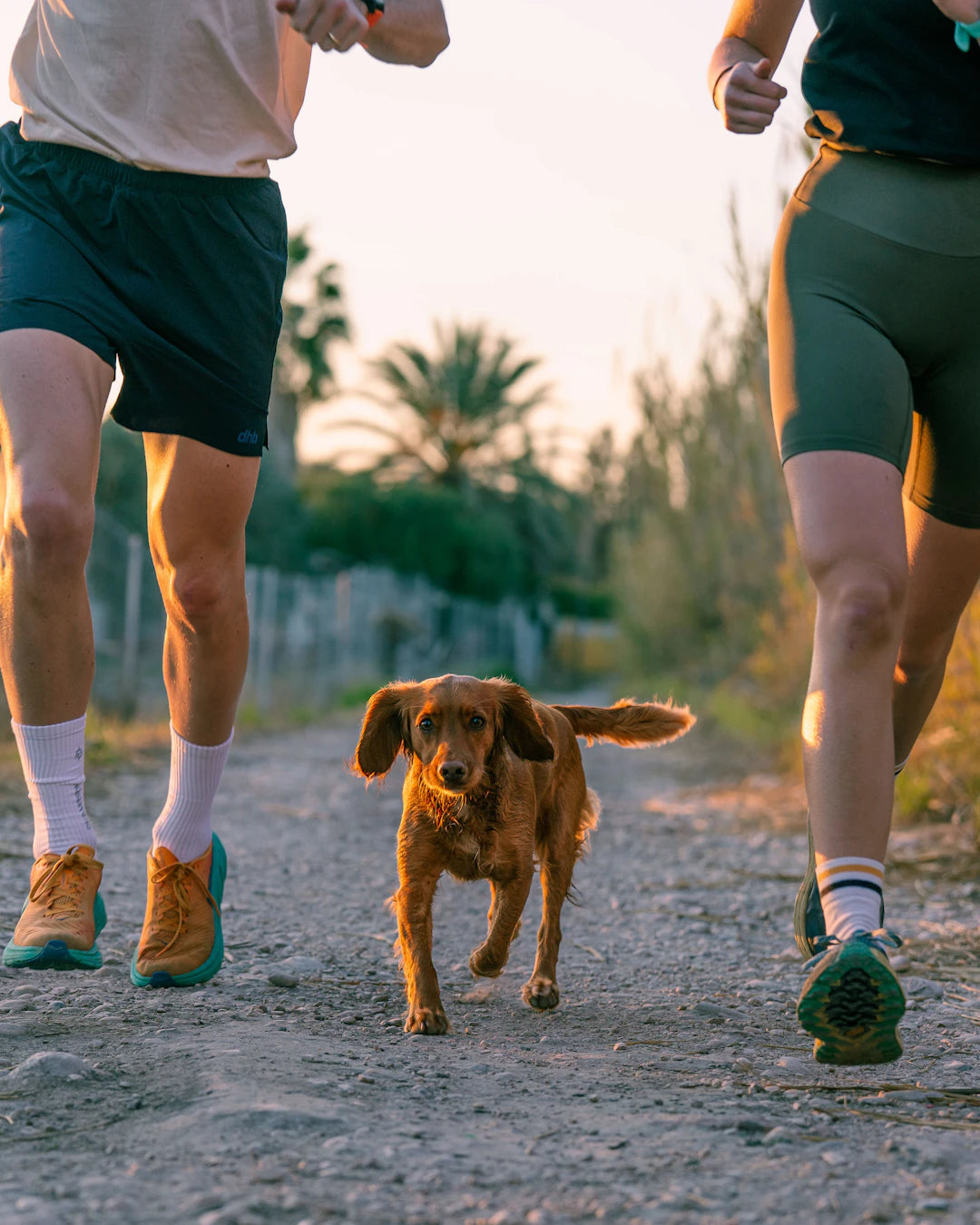 Jogging stylés pour les passionnés de chiens