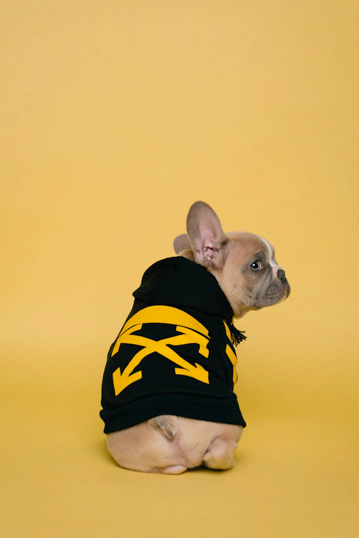 Hoodies pour les passionnés de chiens et leurs aventures