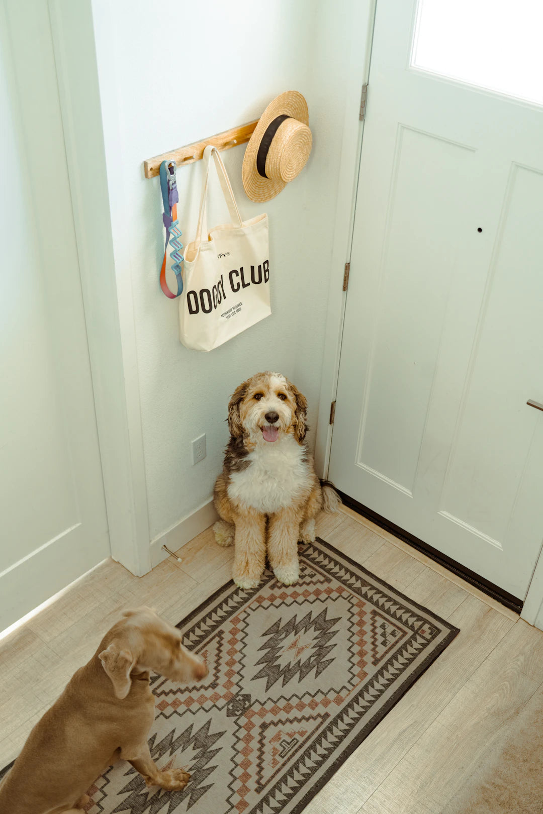 Accessoires tendance pour les amoureux de chiens