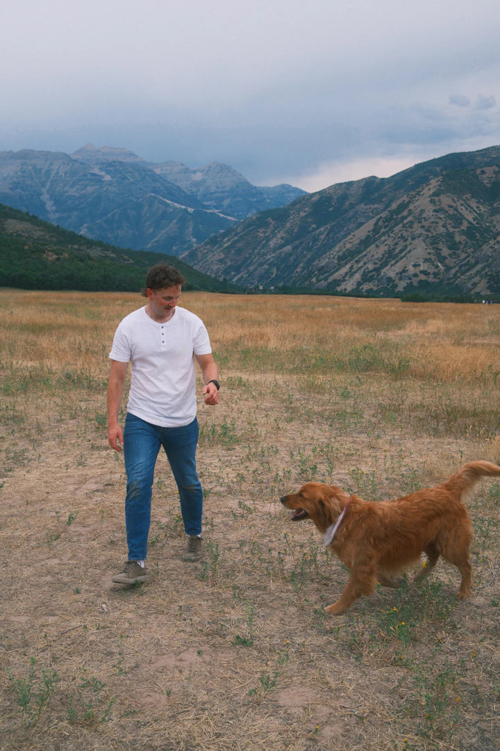 T-shirts amusants pour les passionnés de chiens