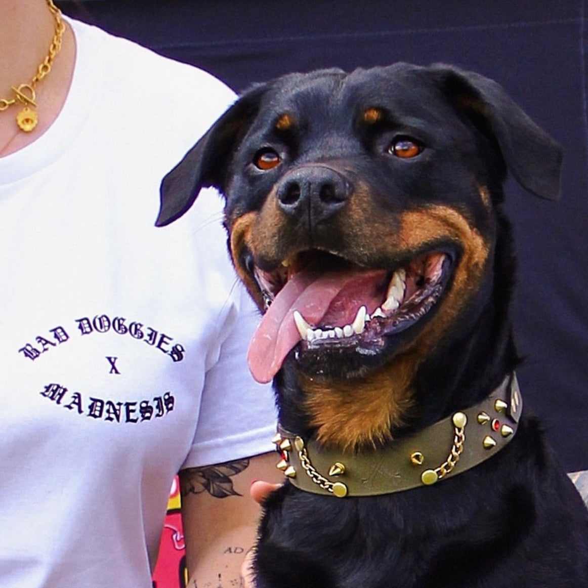 Votre collier Badnesis