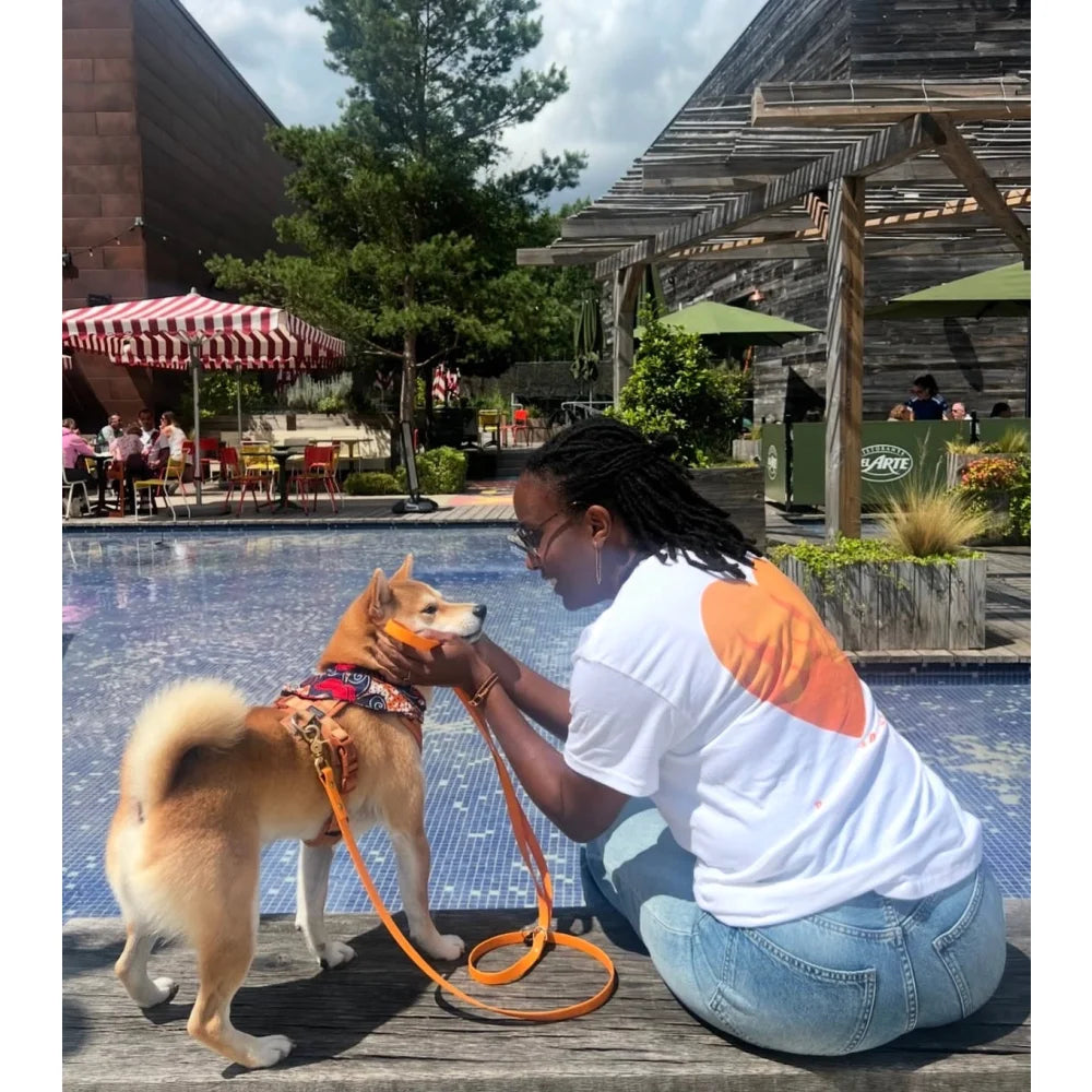 T-shirt 🐾 Alter Ego 🐾 - 𝟷𝟾 𝚌𝚘𝚕𝚘𝚛𝚒𝚜 - T-shirt 🐾 Alter Ego 🐾