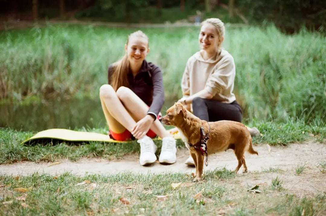 La Méditation avec votre Chien: Guide Pratique pour une Meilleure Connexion