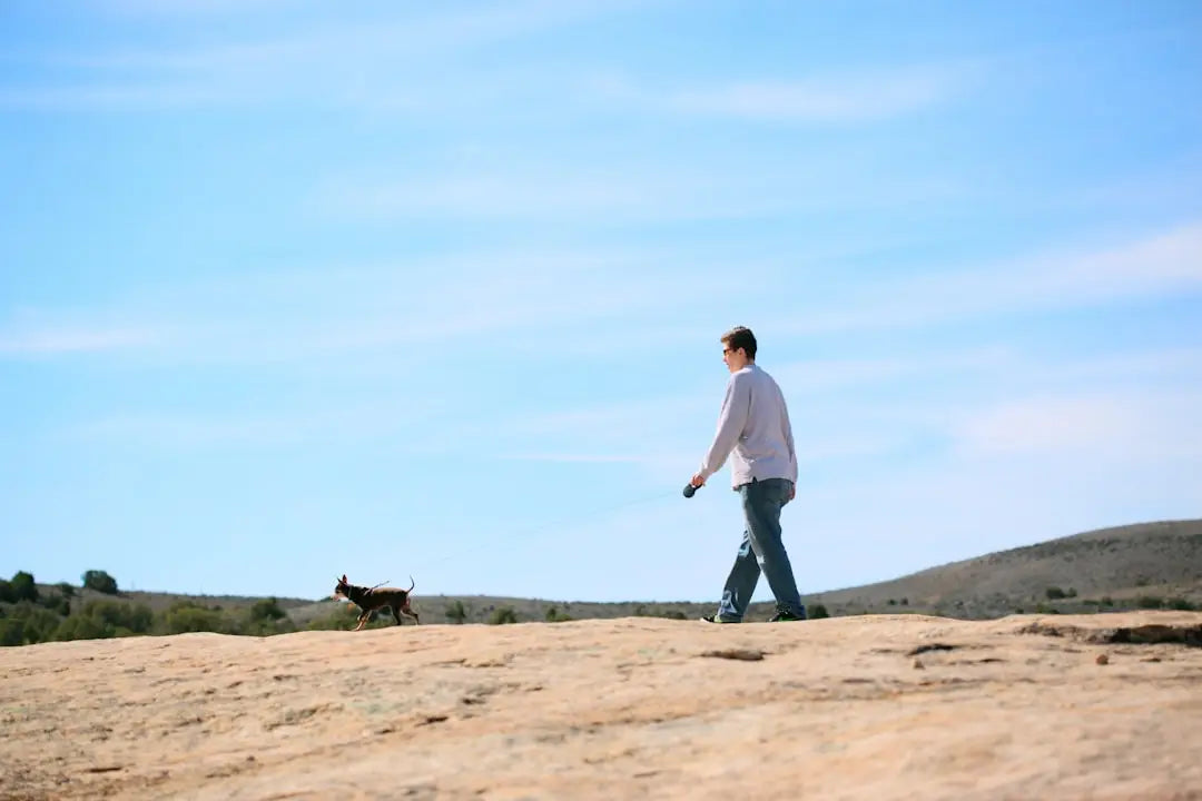 Les bienfaits de l'exercice physique régulier pour les chiens