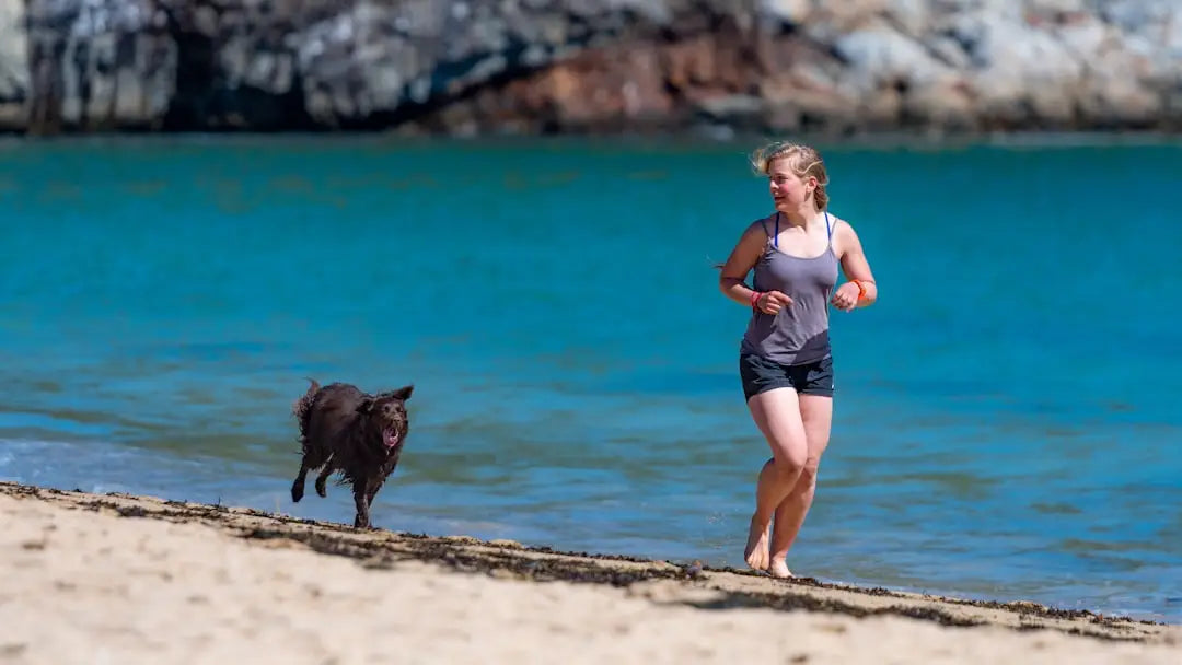 Les Bienfaits de l'Exercice pour la Santé de Votre Chien