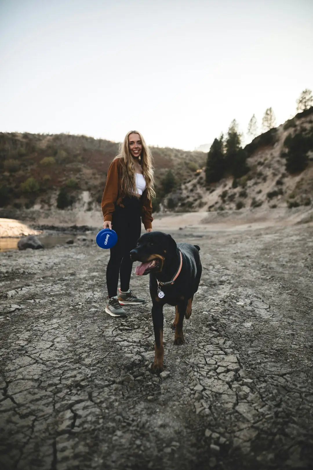 Les Bienfaits des Balades Quotidiennes pour Votre Chien