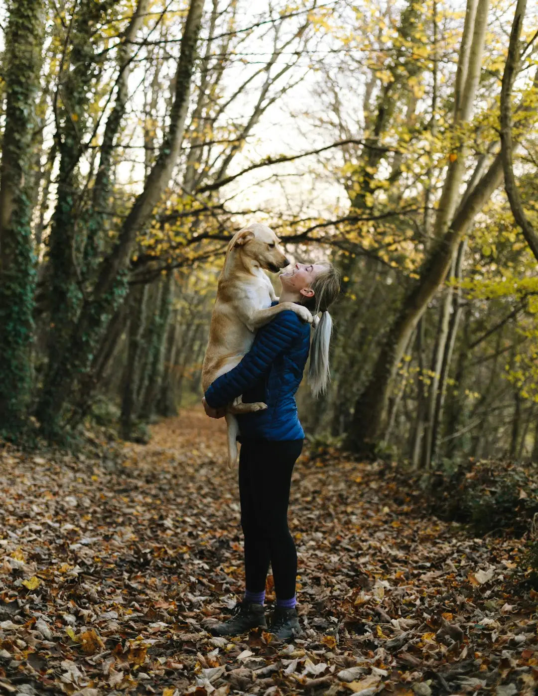 Les Meilleures Techniques Pour Apprendre L'Ordre de "Assis" à Votre Chien