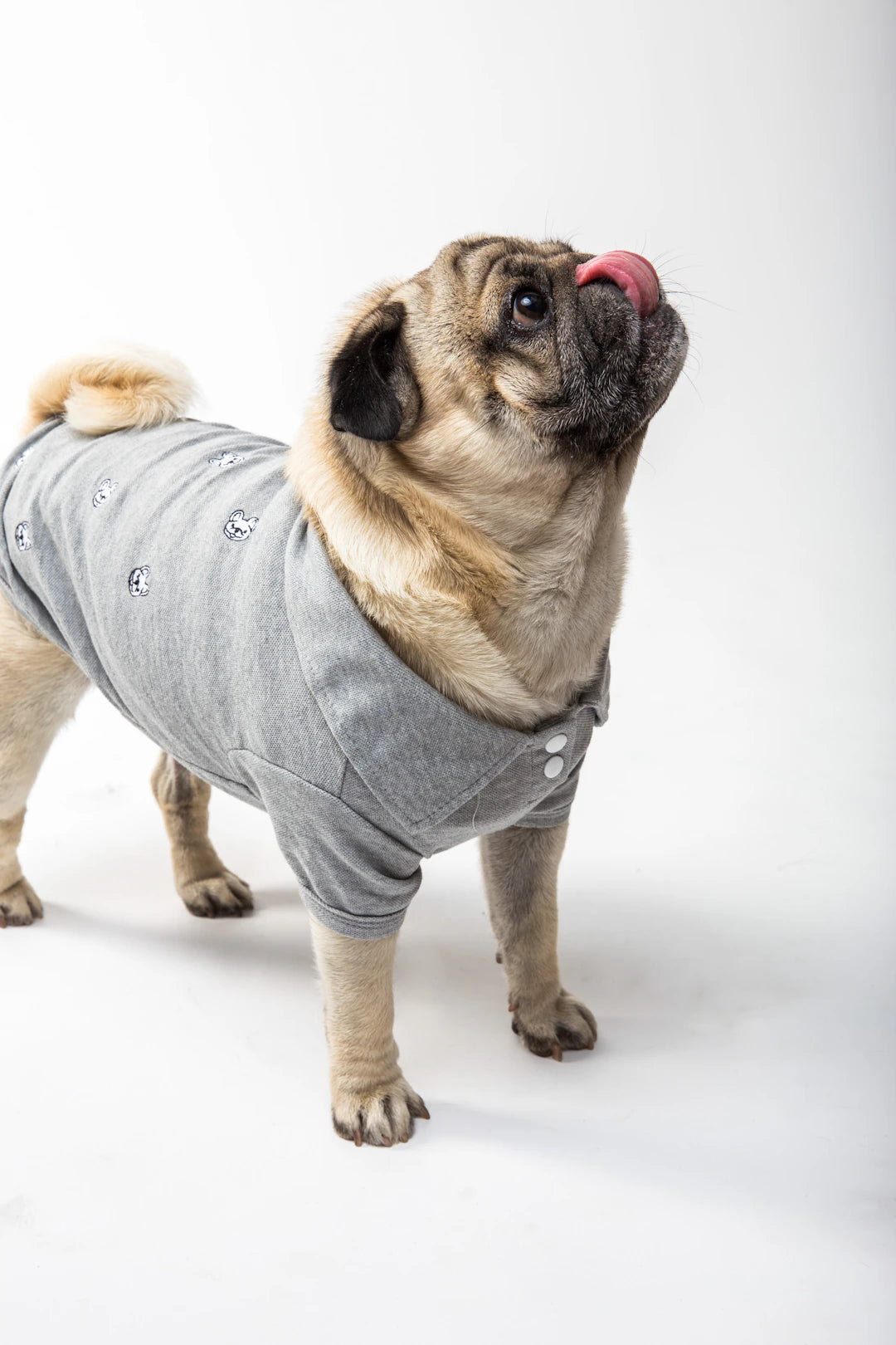 Sweats à capuche originaux pour les papas de chiens