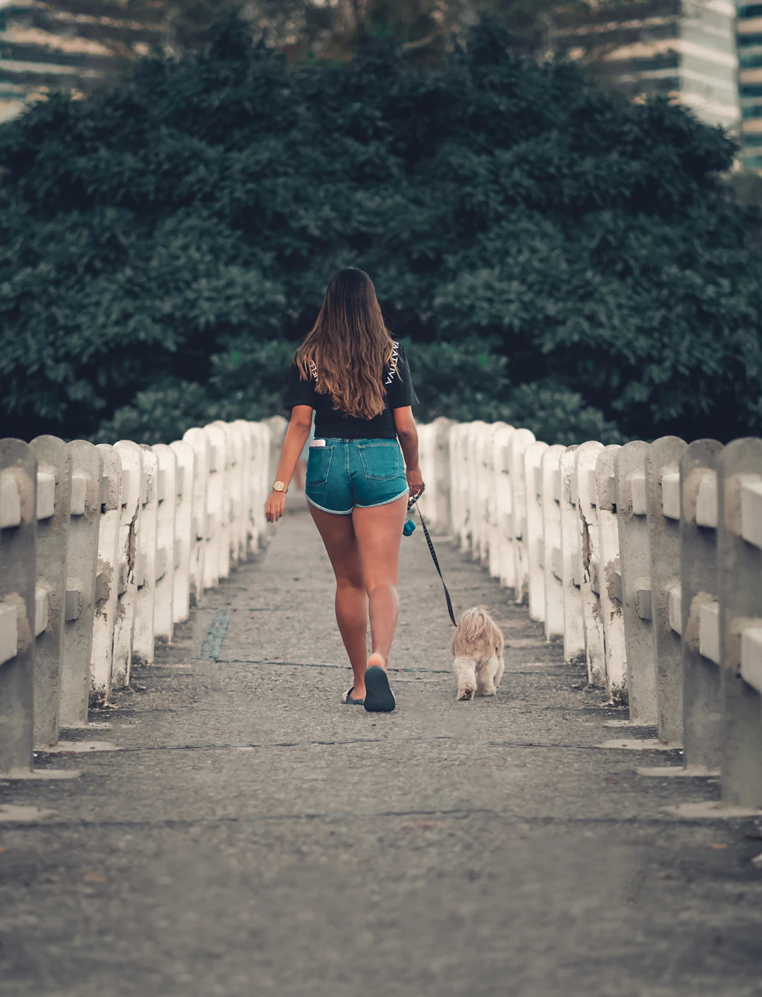 Shorts confortables pour les mamans et papas de chiens