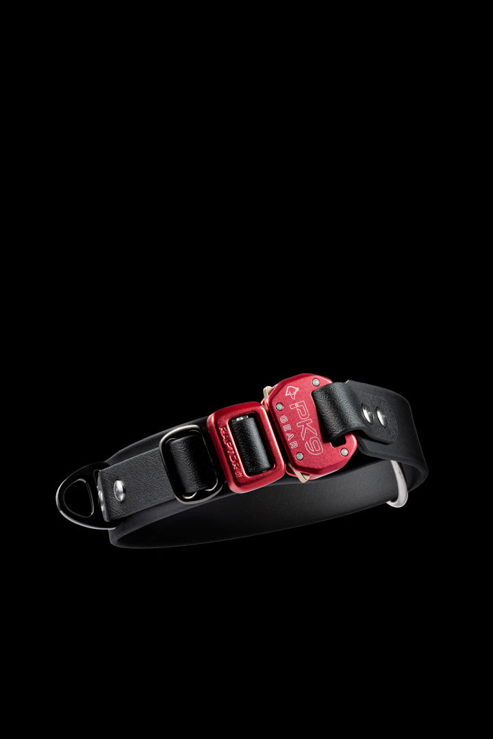 Accessoires stylés pour les amoureux des chiens et chats
