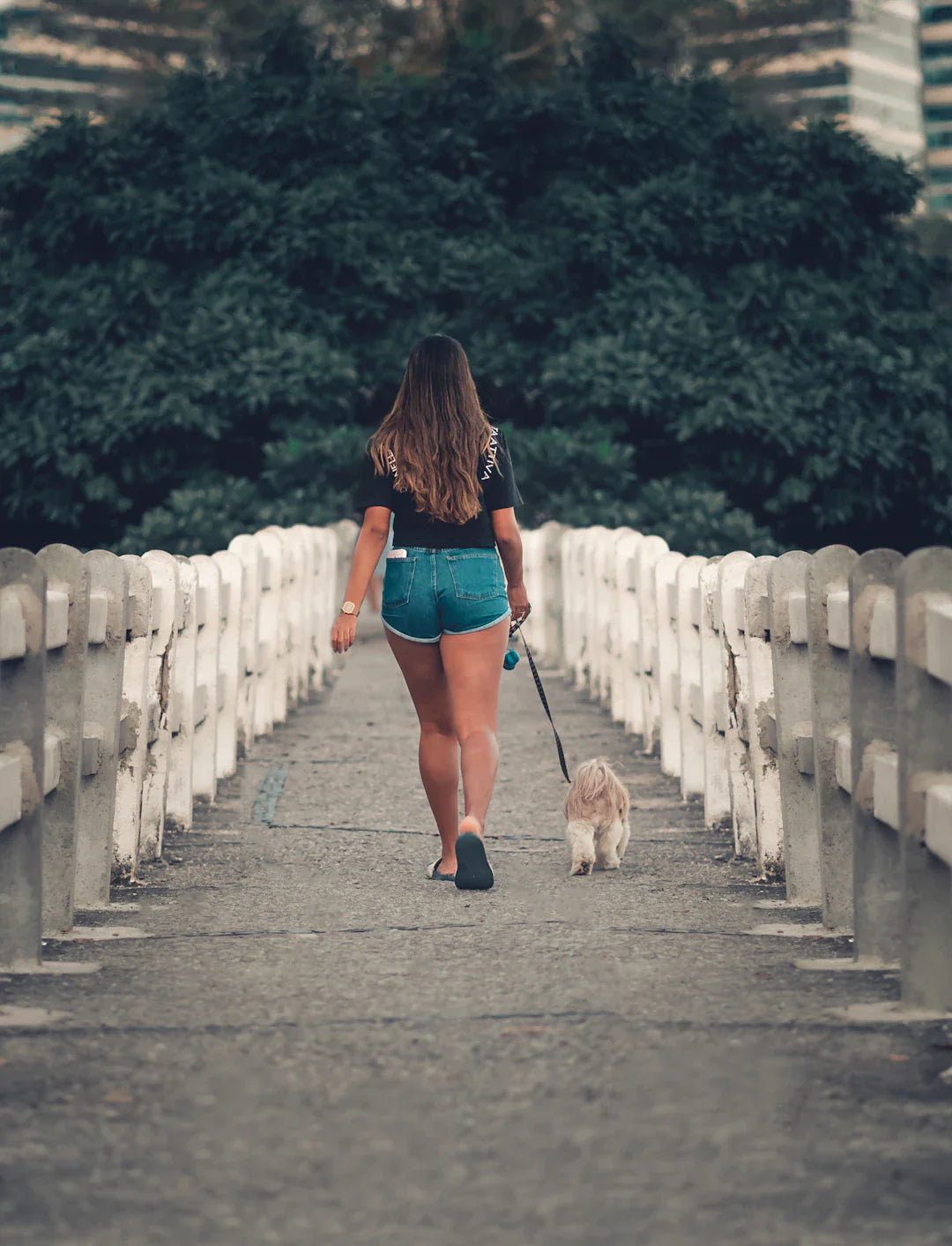 Shorts confortables pour les mamans et papas de chiens