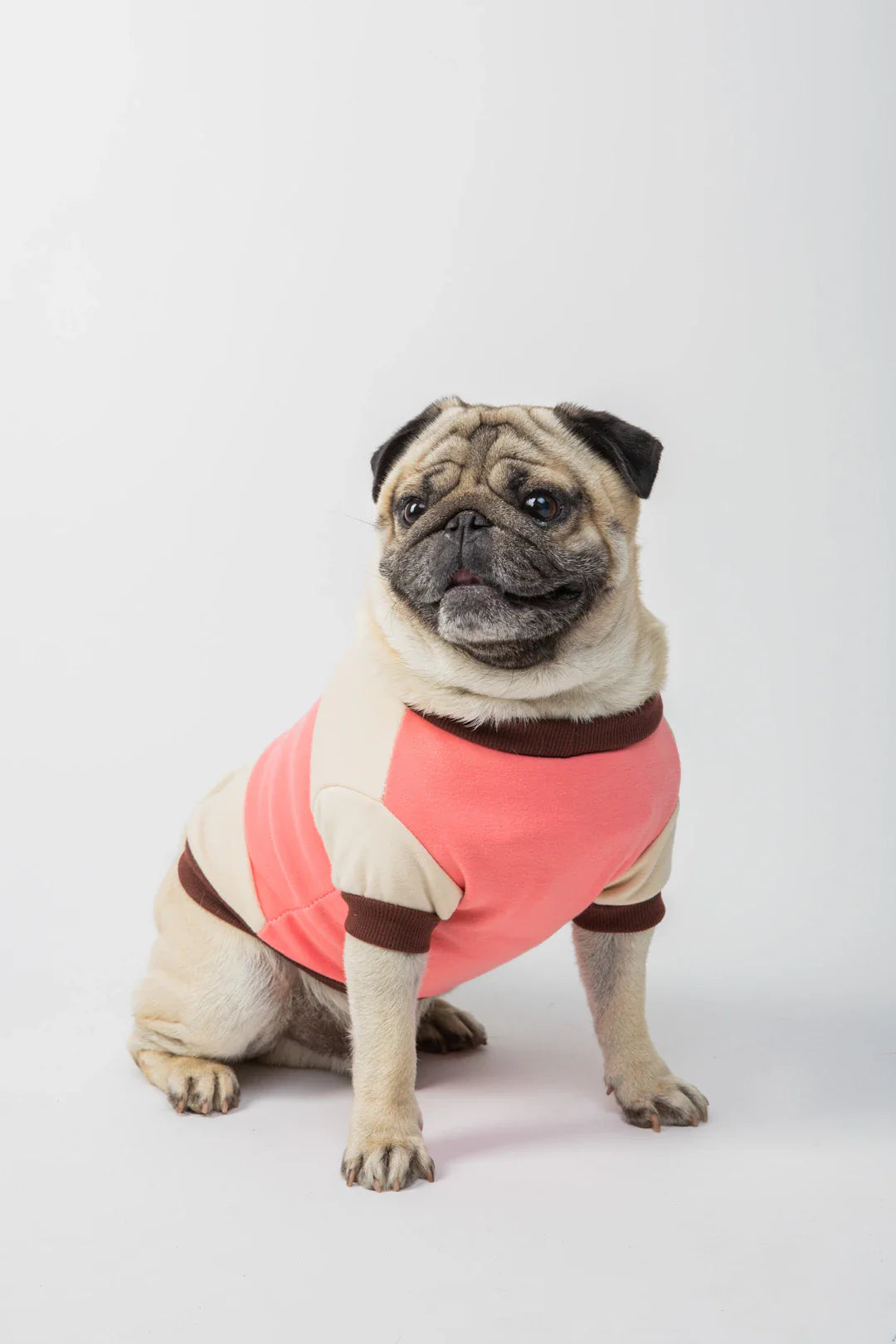T-shirts amusants pour les passionnés de chiens