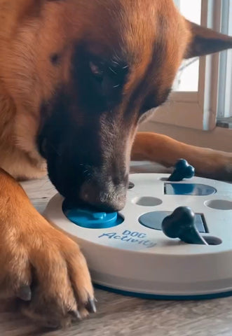 clever game malinois