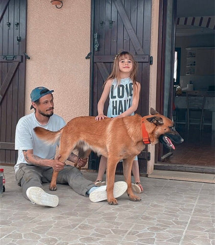 malinois with children