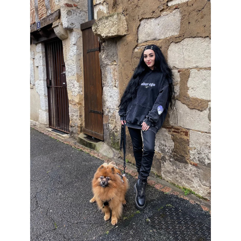 Hoodie Heavyweight ❤️‍🔥 Alter Ego ❤️‍🔥 - Hoodie Heavyweight